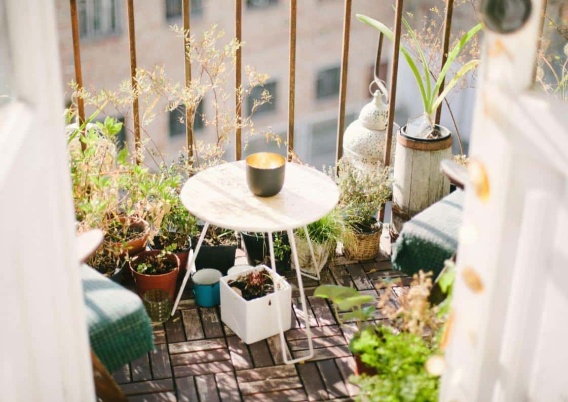 Au printemps, végétalisez vos balcons !